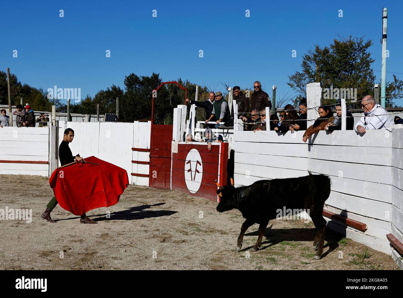 Juan Morena, a toreador apprentice of the Arles bullfighting school, performs during a bullfight show at the Monumental de Gimeaux arena in Arles, France, November 20, 2022.  REUTERS/Eric Gaillard Stock Photo