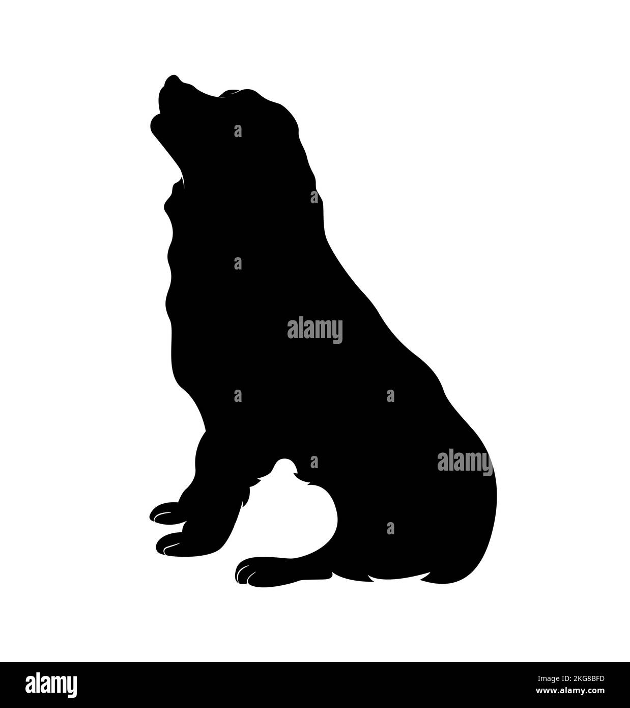 A simple vector illustration of a Bernese mountain dog Stock Vector