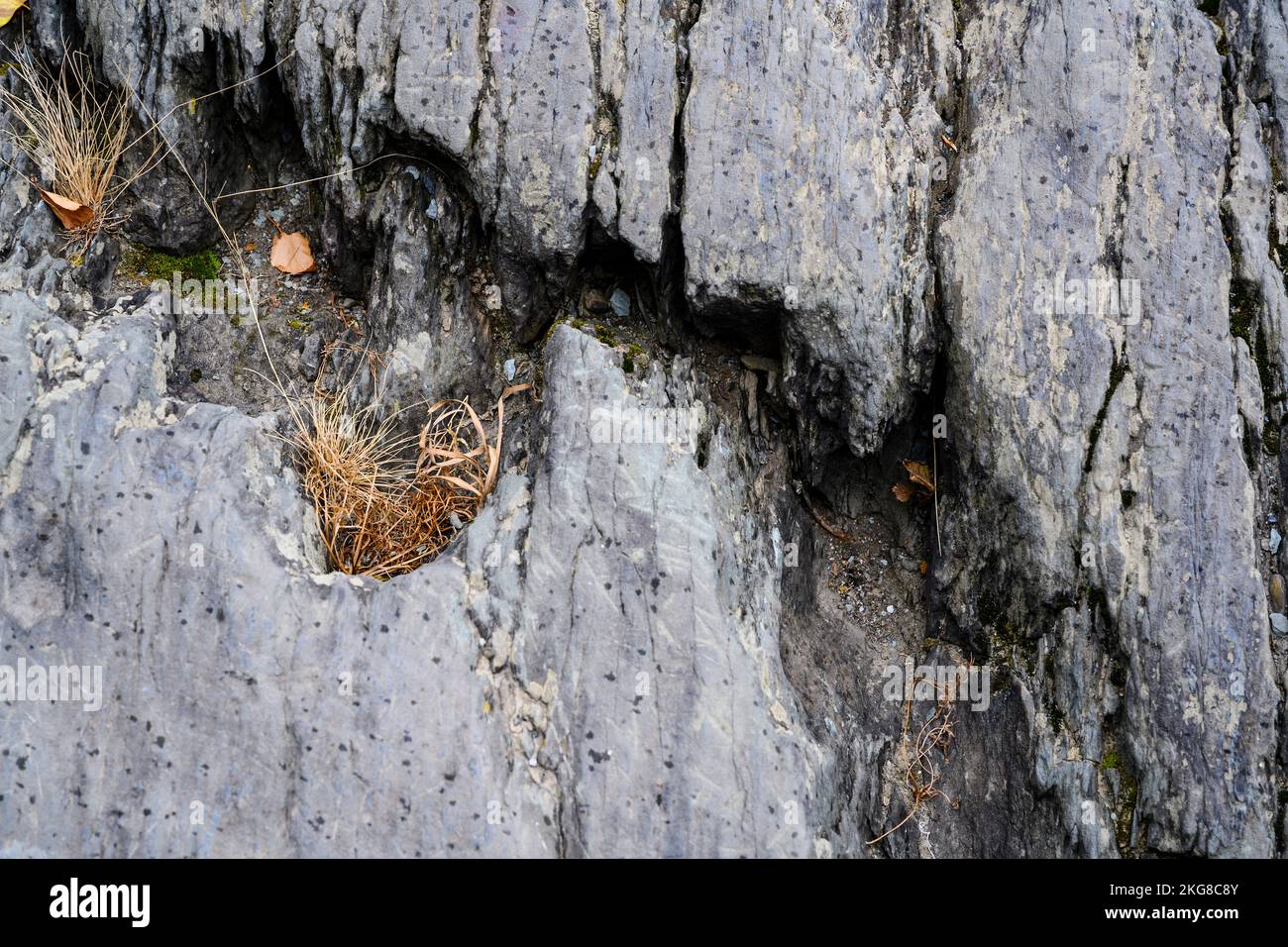 A close view of a crevice in a rock with dry grass Stock Photo