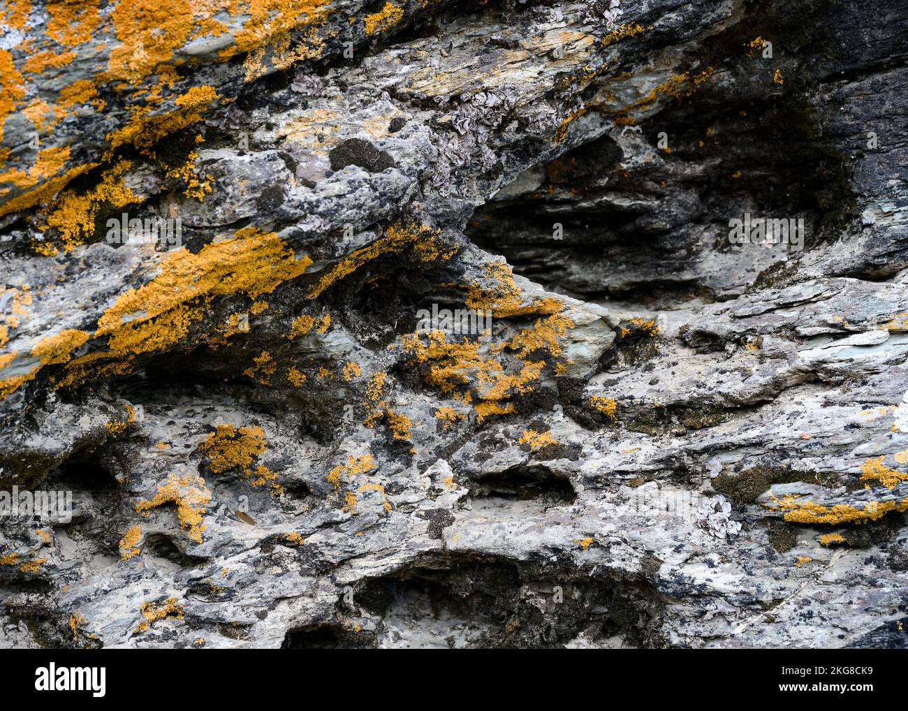 Fragment of a large stone boulder covered with colorful moss in the taiga in Siberia Stock Photo