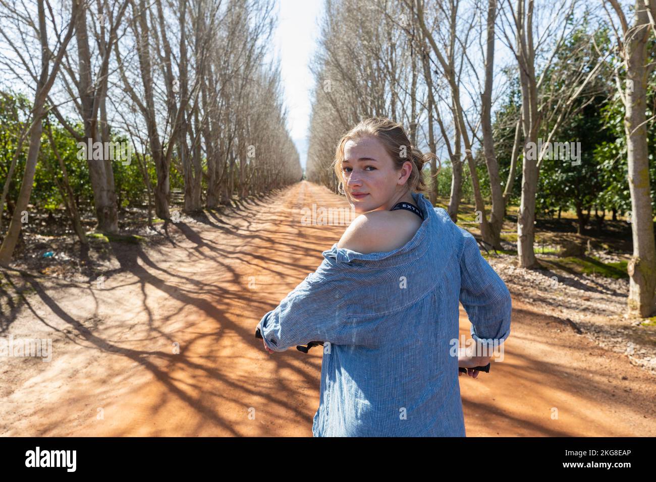 Teenage girl (16-17) riding bicycle on tree lined road Stock Photo