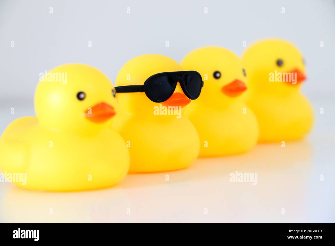 Cool yellow rubber duck with black sunglasses stands out from row of