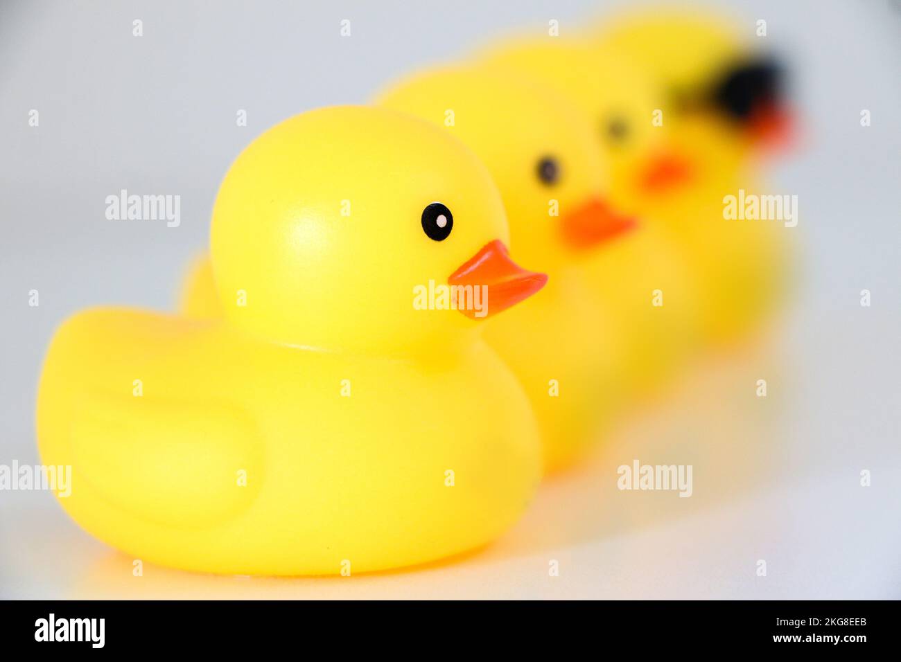 Four yellow rubber ducks in a line of four, get one’s ducks in a row