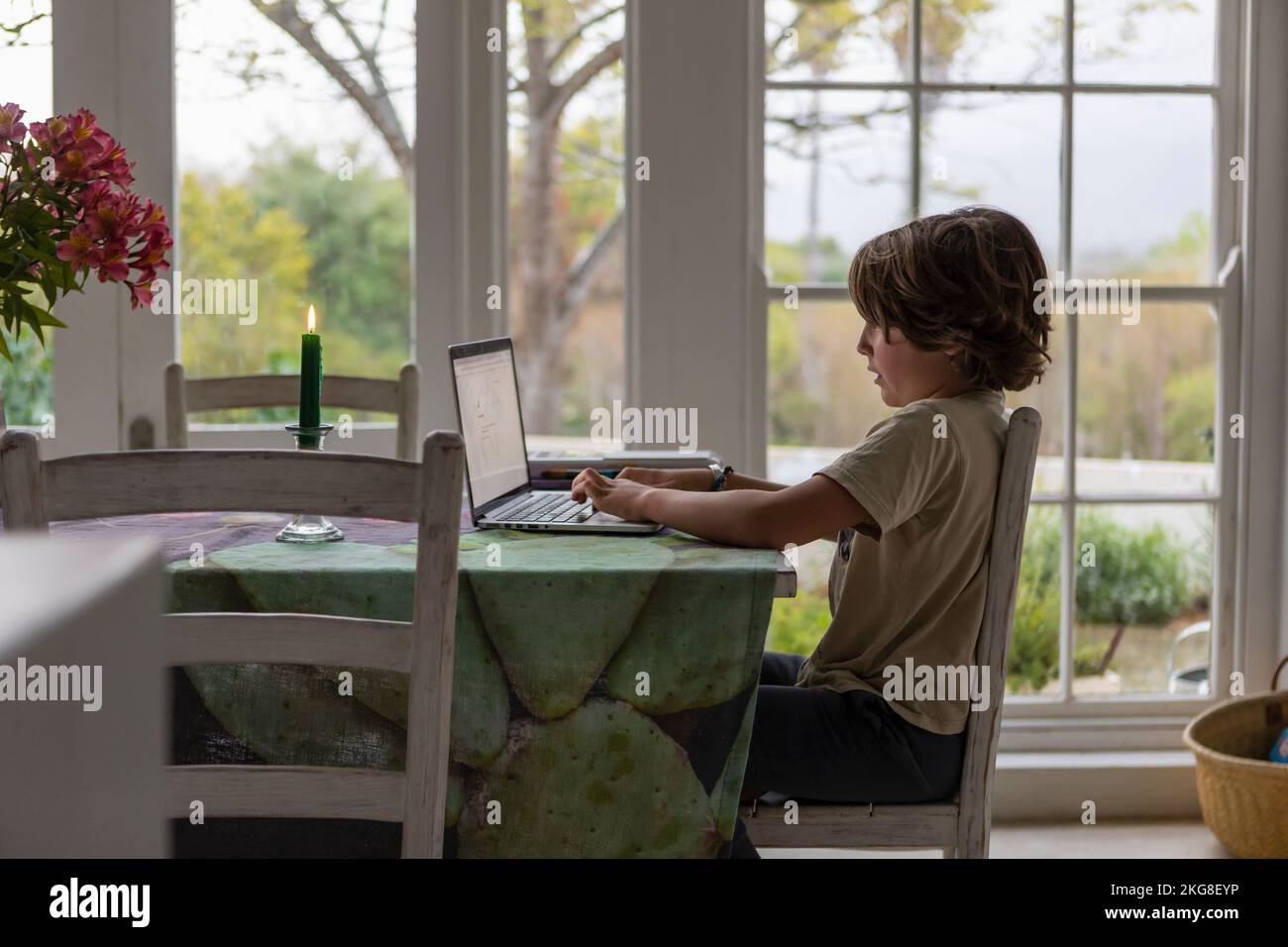 Boy (8-9) using laptop in dining room Stock Photo