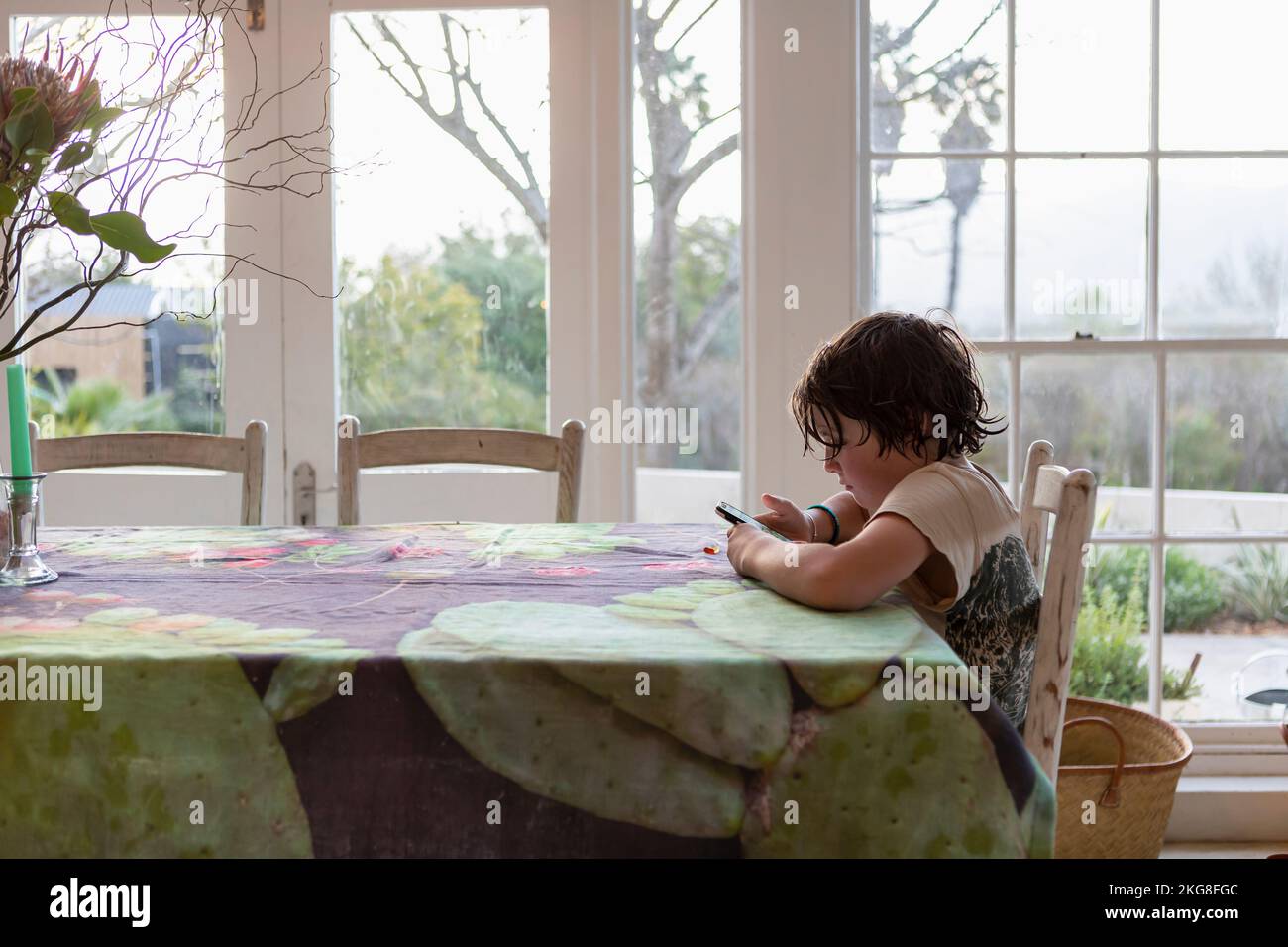 Boy (8-9) using smart phone in dining room Stock Photo