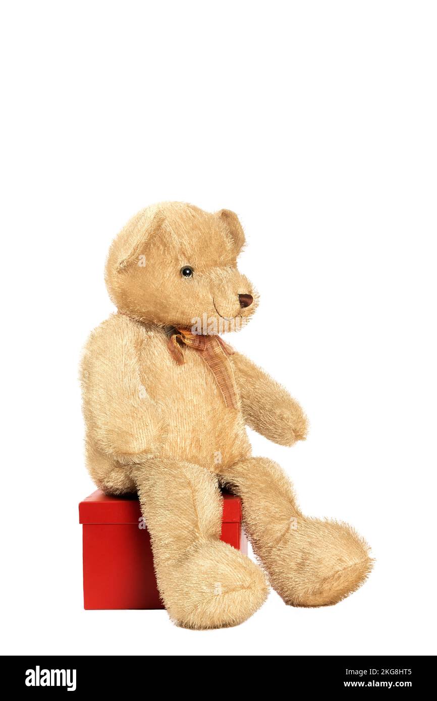 teddy bear standing next to a gift package isolated on white background Stock Photo