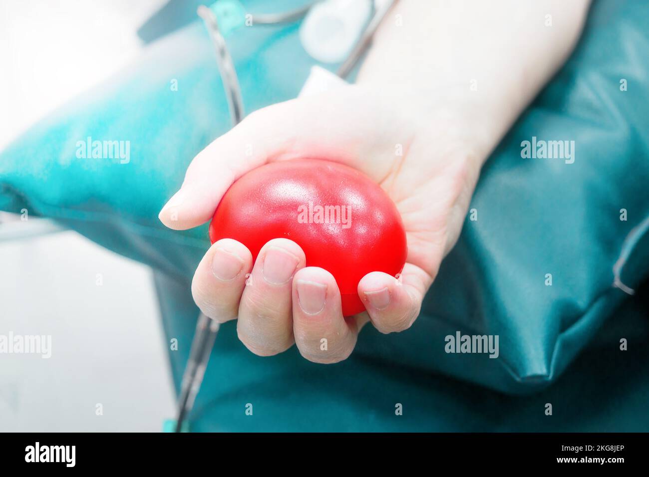 The subject of the donation. A woman donates blood in the hospital. A woman's hand squeezes a rubber heart. Close-up. The donor is sitting in a chair. Background.. Stock Photo