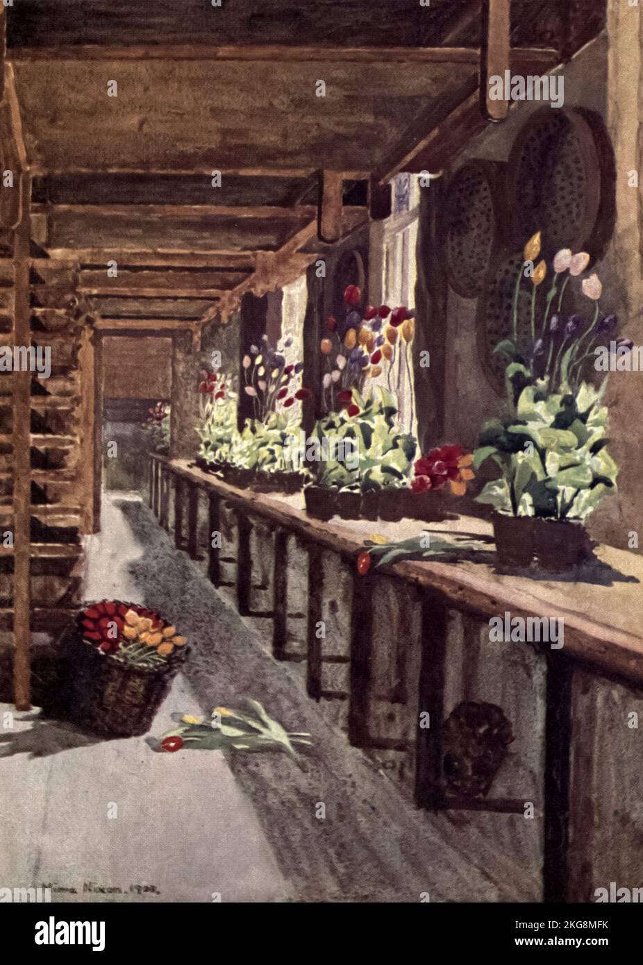 A Bulb House Painted by Mima Nixon, from the book ' Dutch bulbs and gardens ' by Silberrad, Una Lucy, Publication date 1909 Publisher London : A. and C. Black Stock Photo