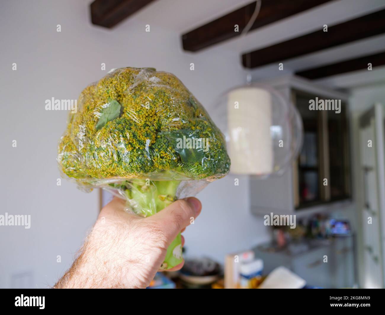 Hand holding broccoli inside modern kitchen - wrapped in plastic protection film Stock Photo