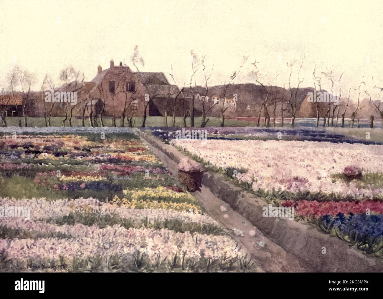 When Spring unlocks the flowers to paint the laughing soil Painted by Mima Nixon, from the book ' Dutch bulbs and gardens ' by Silberrad, Una Lucy, Publication date 1909 Publisher London : A. and C. Black Stock Photo