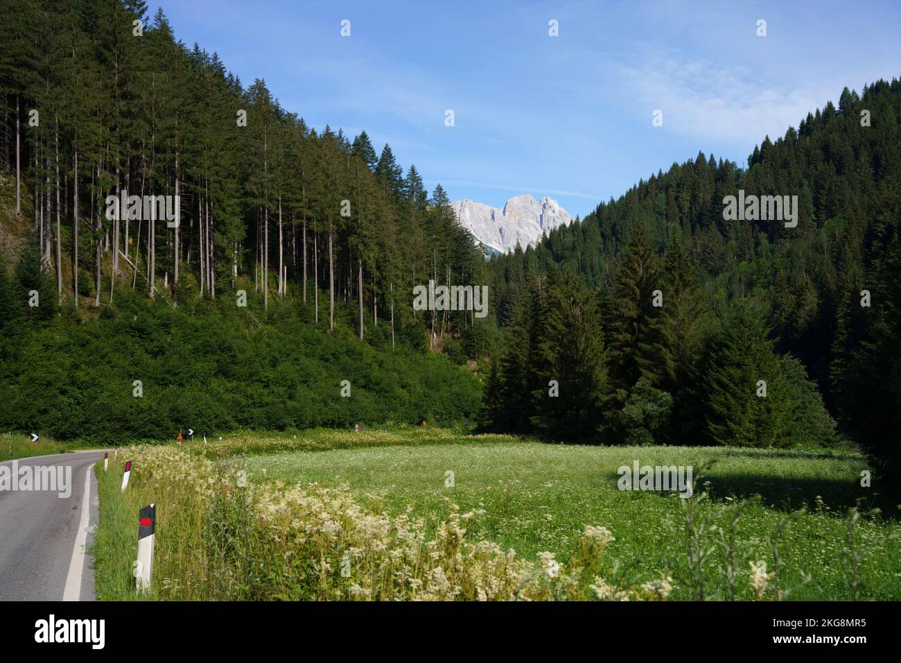 Mountain landscape at Santo Stefano di Cadore, Belluno province, Veneto, Italy, at summer Stock Photo