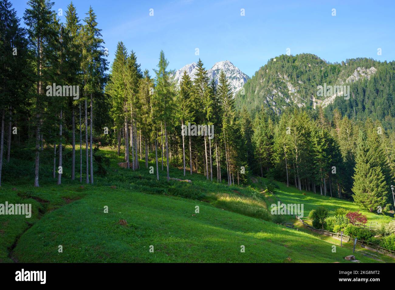Mountain landscape at Santo Stefano di Cadore, Belluno province, Veneto, Italy, at summer Stock Photo