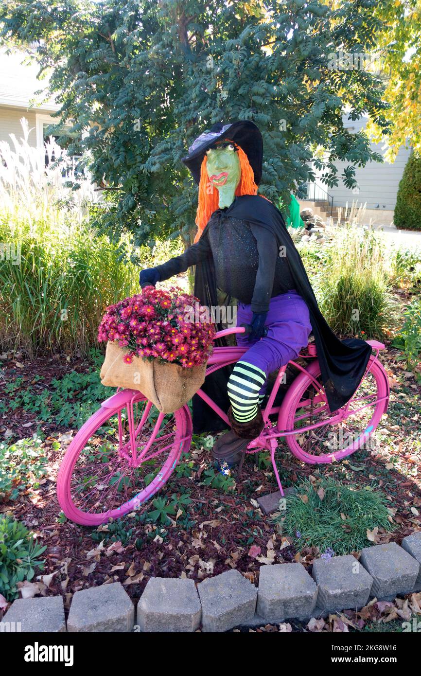 Halloween witch with orange hair riding a pink bicycle with a wicker basket loaded with pink flowers. Fergus Falls Minnesota MN USA Stock Photo