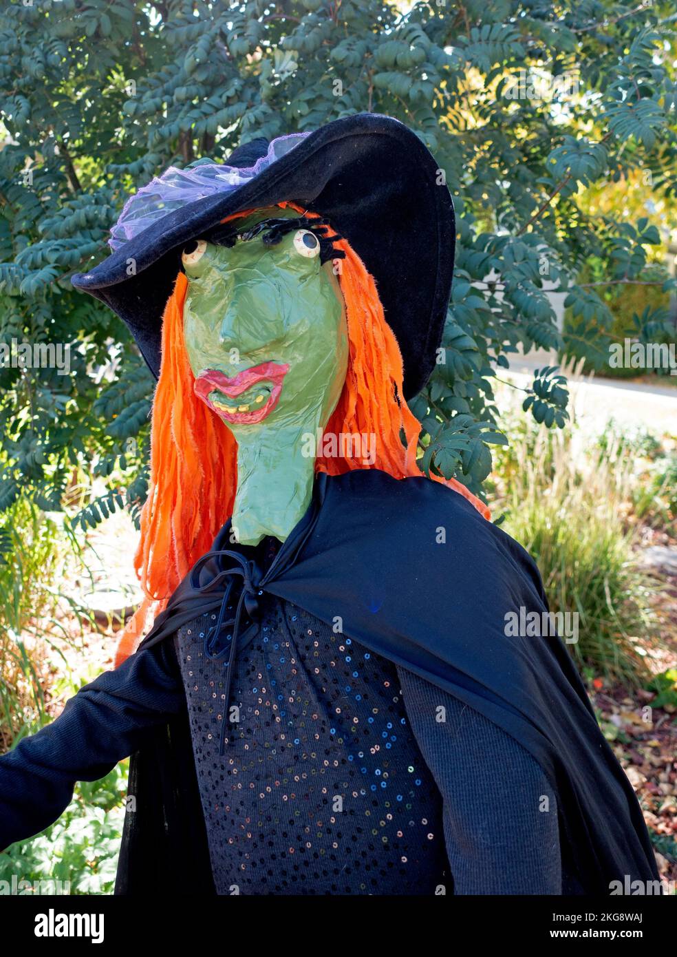 Portrait of a Halloween witch with green face, orange hair and black