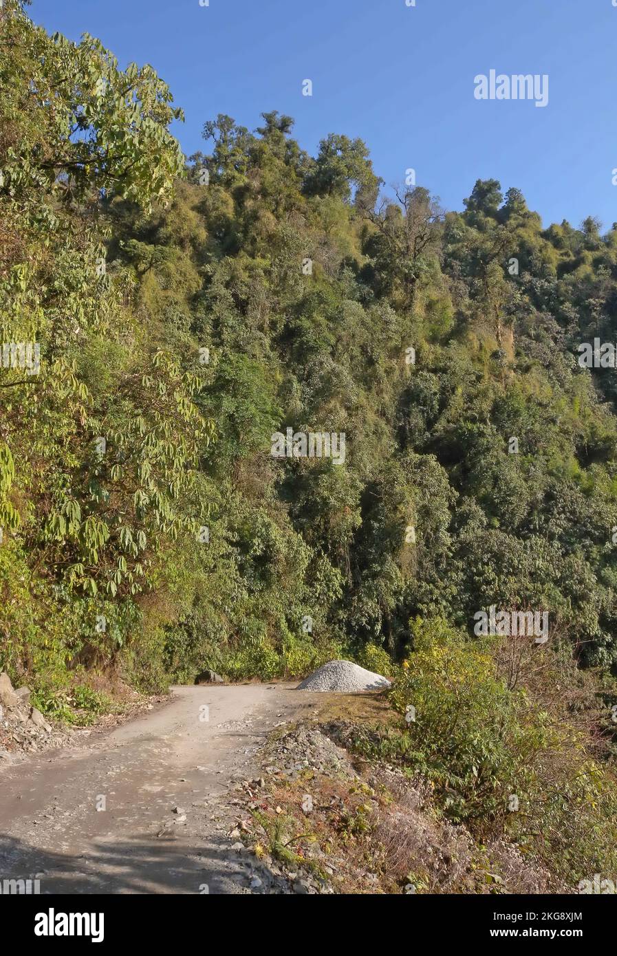 densly forested hillside low down in hills Mishmi Hills, Arunachal ...