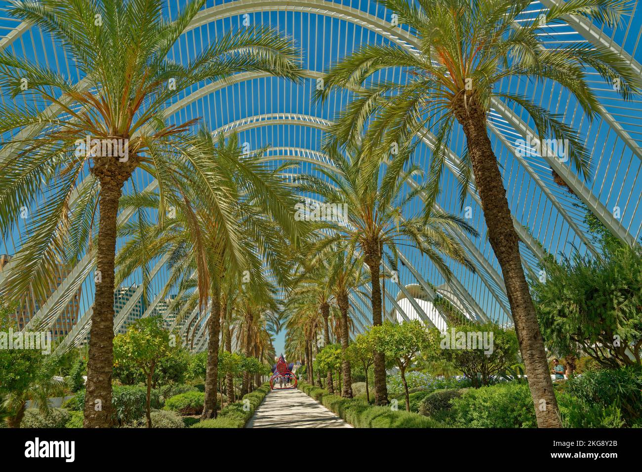The Umbracle arches at the Valencia City of Culture in Valencia Province, Spain. Stock Photo