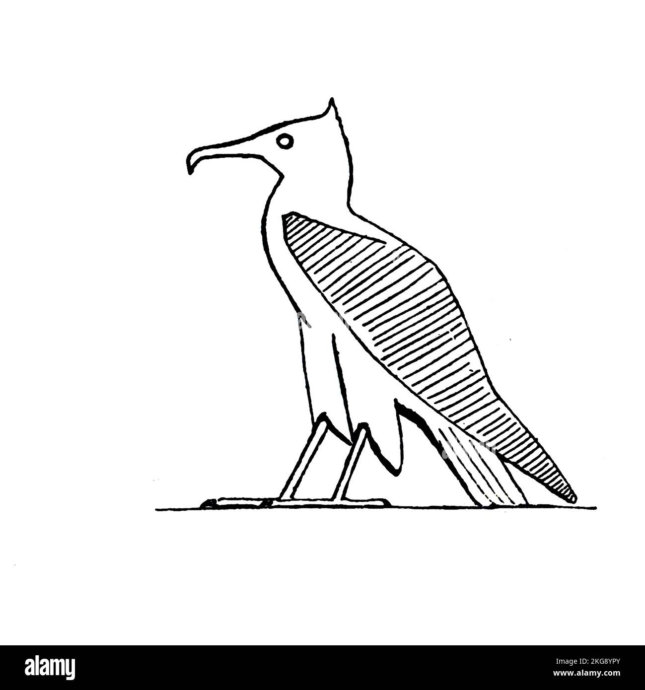 Bird depicted in ancient Egyptian art painted and described by Charles Whymper from the book ' Egyptian birds ' for the most part seen in the Nile valley Publication date 1909 Publisher London, A. and C. Black Stock Photo