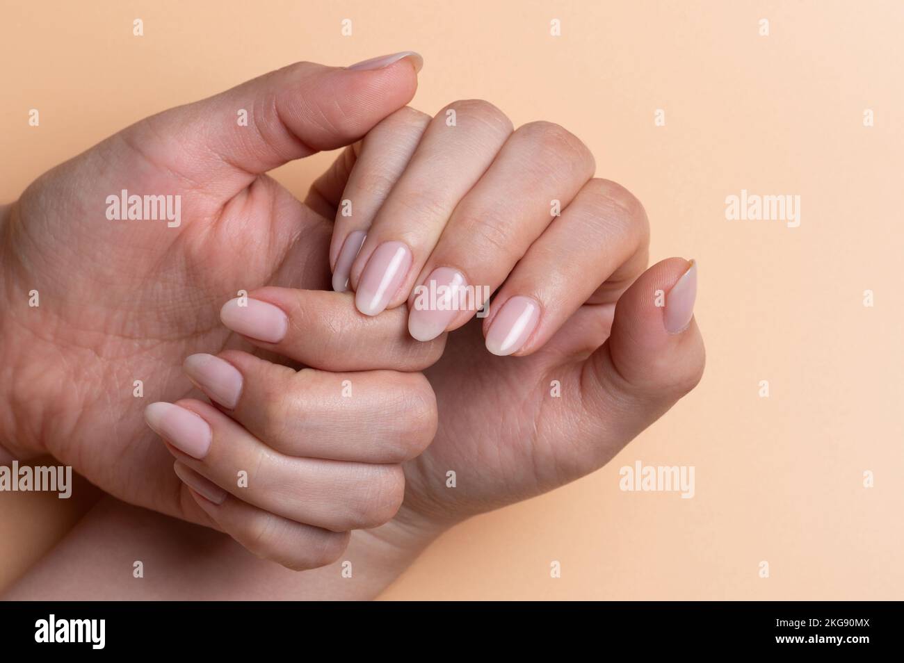 Abnorm Nail Behavior | Nail Art : Elegant Nails: Misty Garden