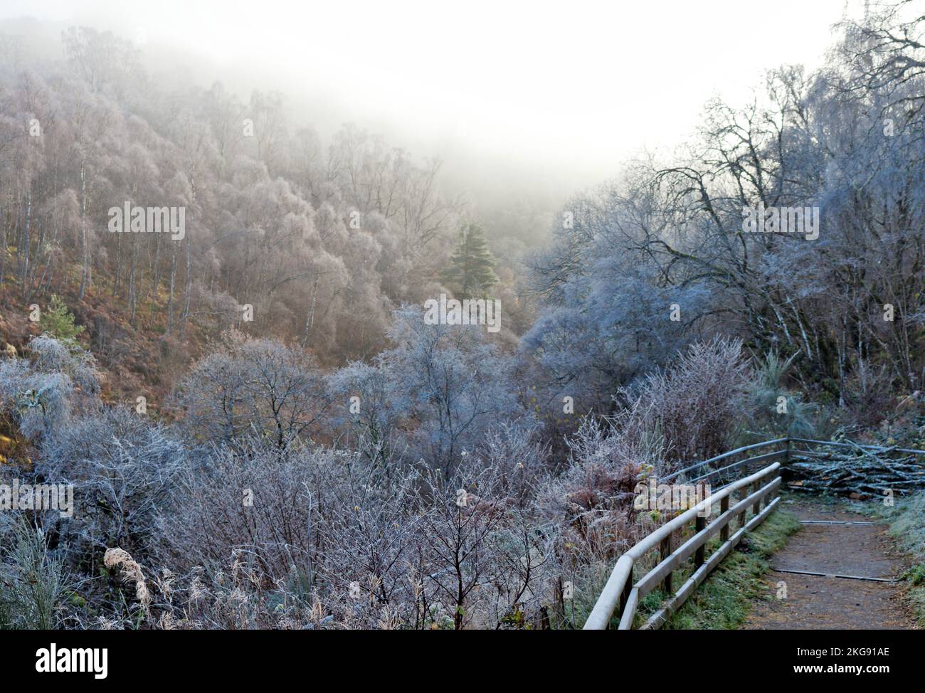 Falls of Shin River Shin Sutherland Scotland pathway to the falls on a frosty morning Stock Photo