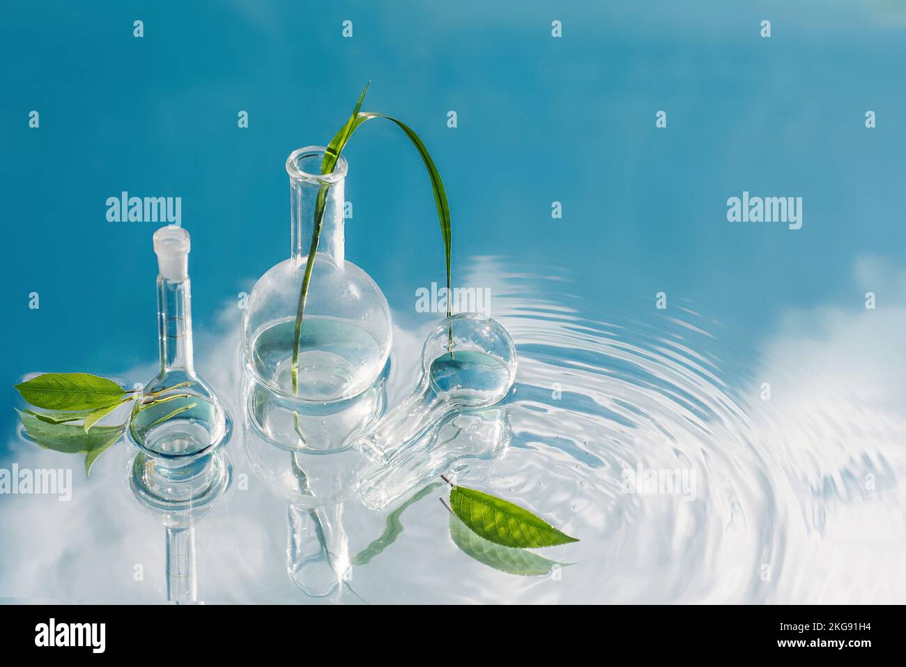 Research and development of natural cosmetics, beauty skin care organic