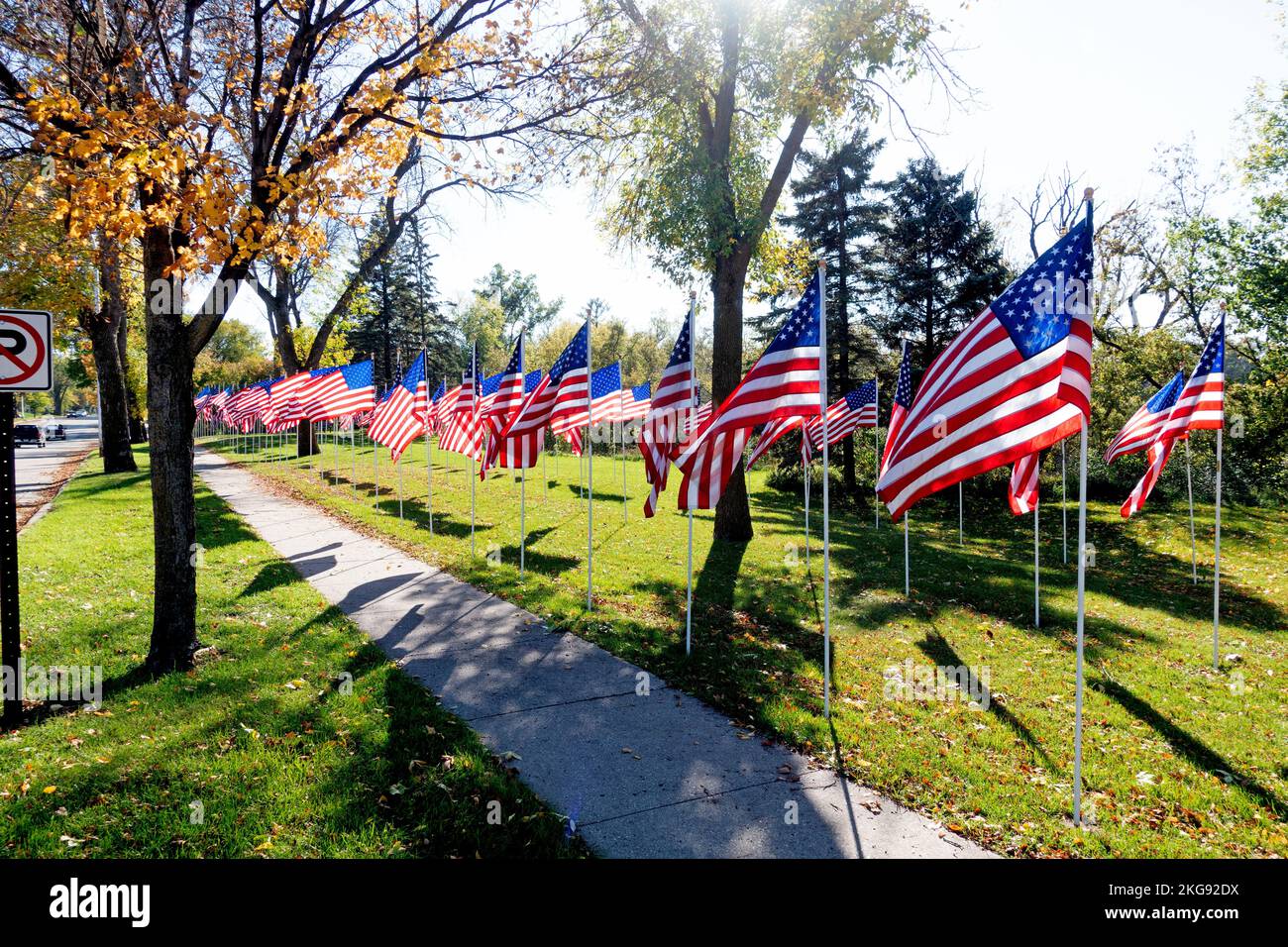 Honoring Veterans Day American flags lining the boulevard. Fergus Falls Minnesota MN USA Stock Photo
