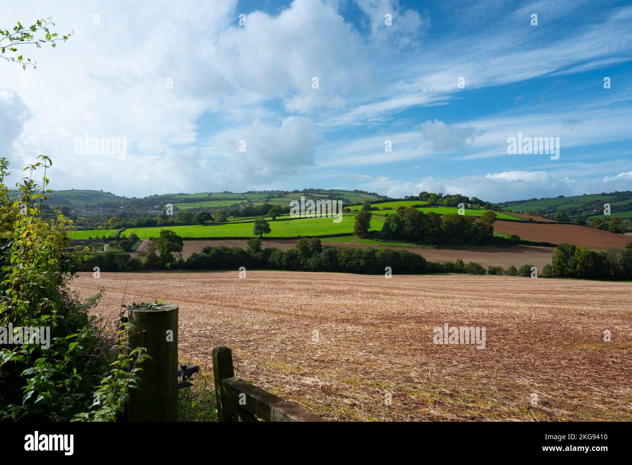 Fields looking towards Brendon Hills, Somerset, UK Stock Photo