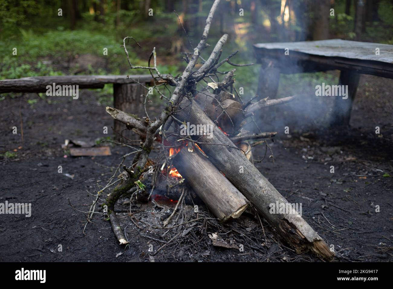 Fire in forest. Large bonfire of logs. Smoke from flames. Combustion