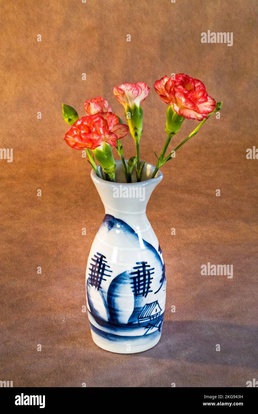 A vase of carnations on a dark background. Stock Photo