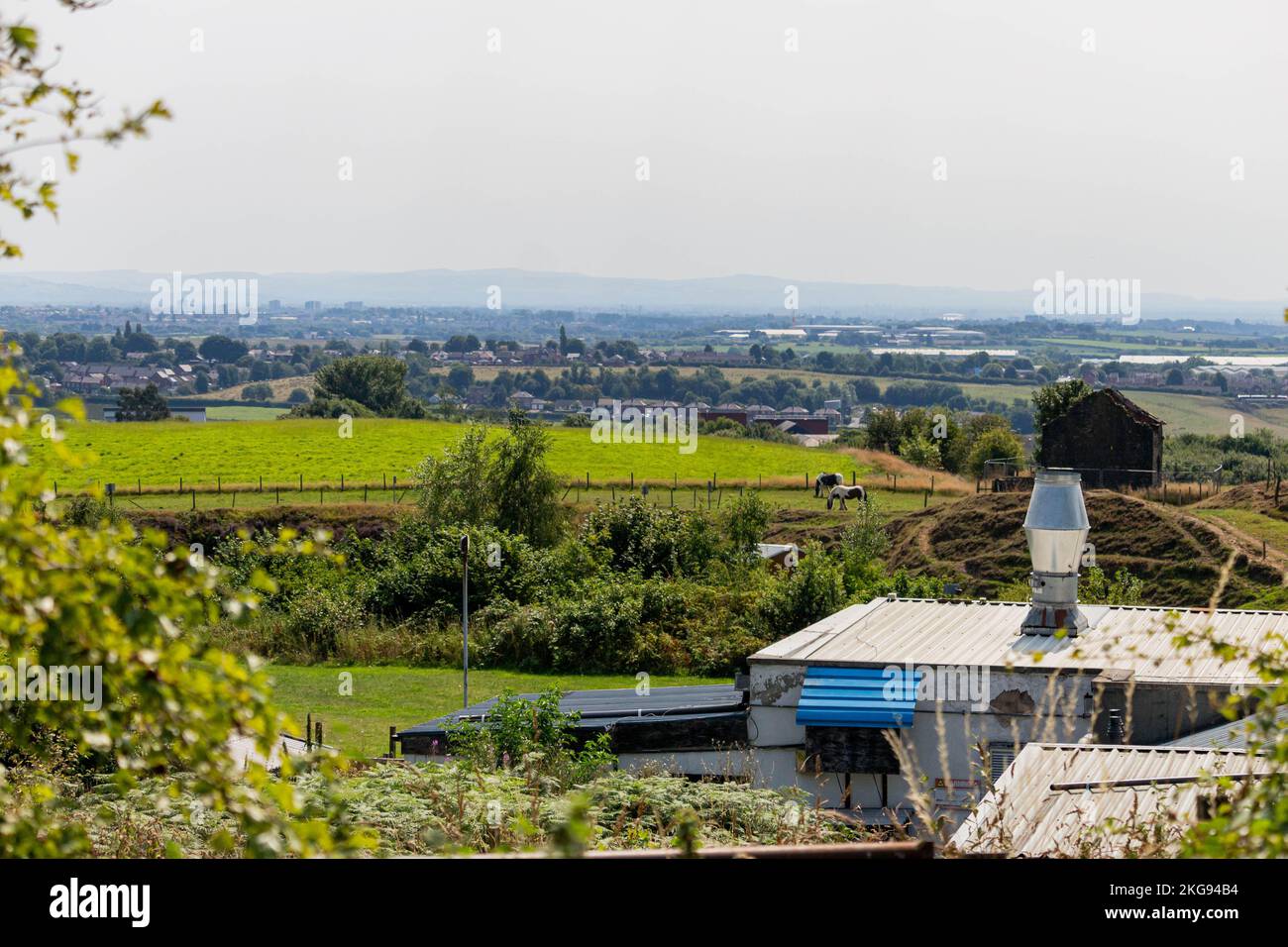 A landscape of a farm with livestock grazing in the green field Stock ...