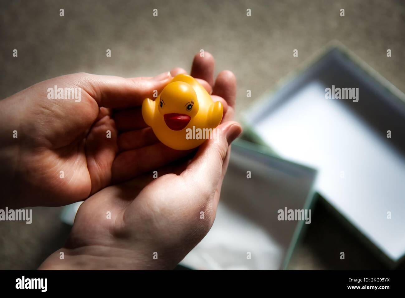 Rubber duck gift at christmas Stock Photo
