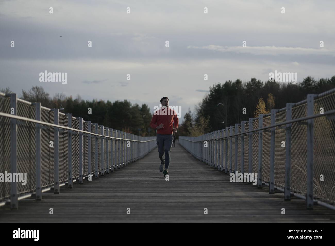 Running in cold fall weather in nature. A man runs across wooden bridge in national park. An athlete in cross country training. Workout in Canada Stock Photo