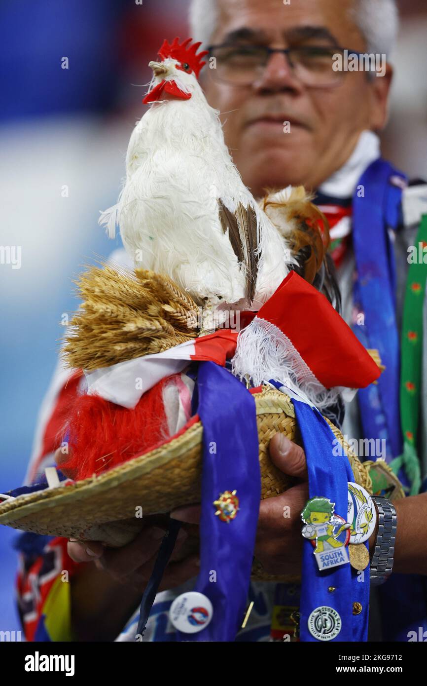 Gallic rooster hi-res stock photography and images - Alamy Gallic rooster hi-res stock photography and images - Alamy