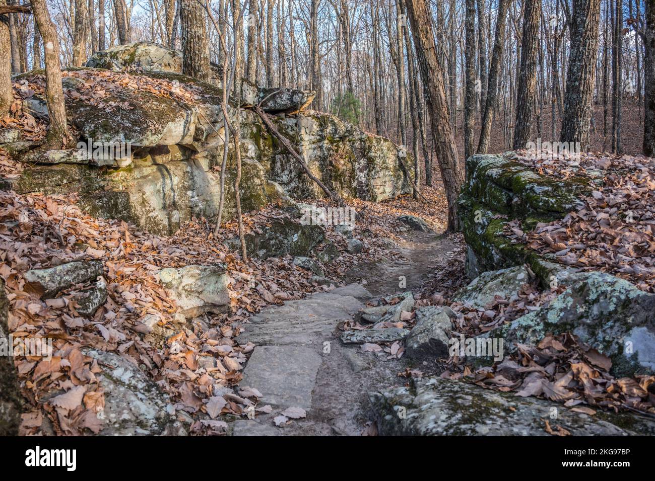 A rocky trail through the boulders in the mountains surrounded by bare trees and fallen leaves in a forest on a sunny day in late autumn Stock Photo