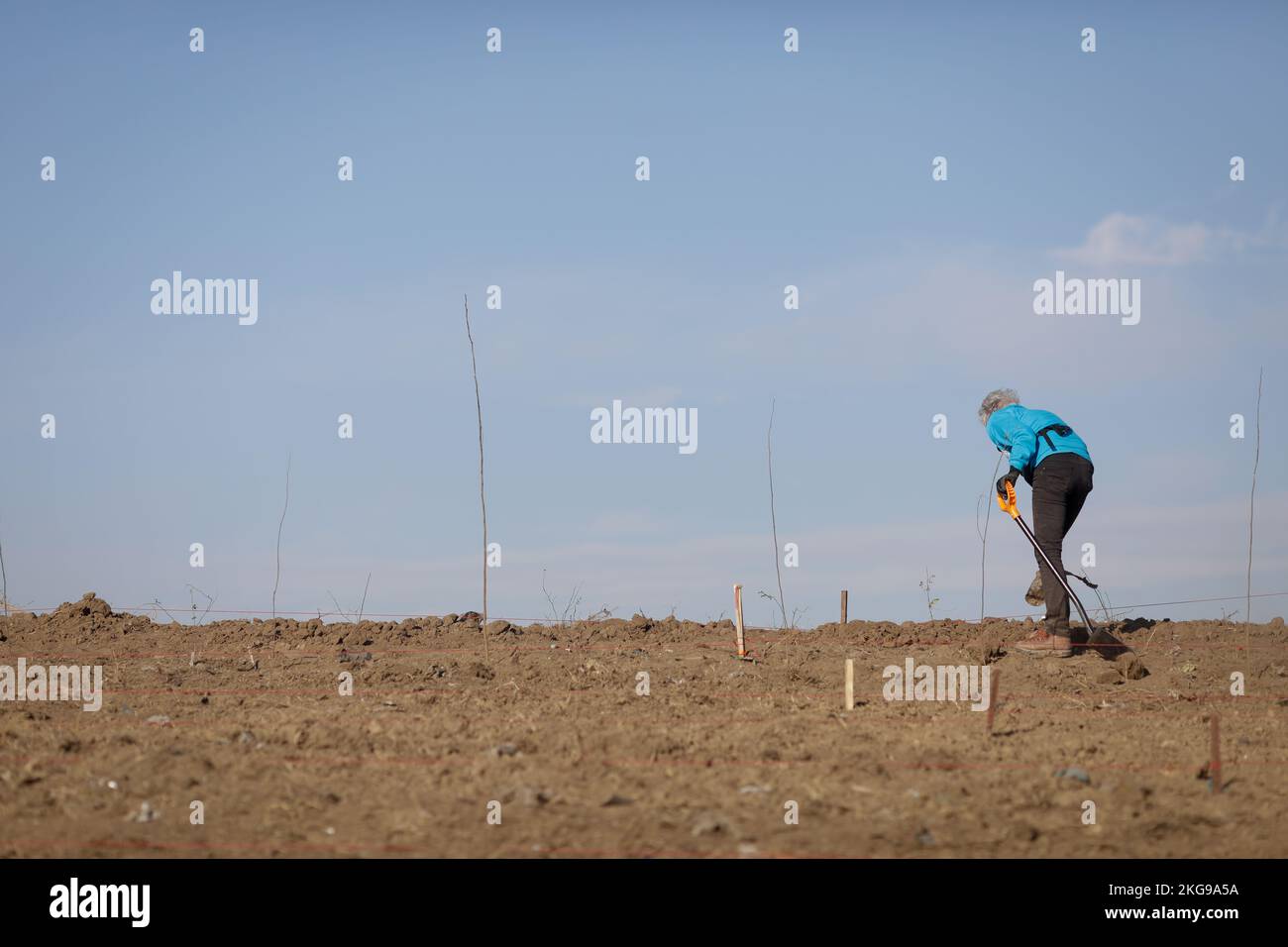 Senior woman using a shovel on dry, arid and dusty soil during a planting activity. Stock Photo