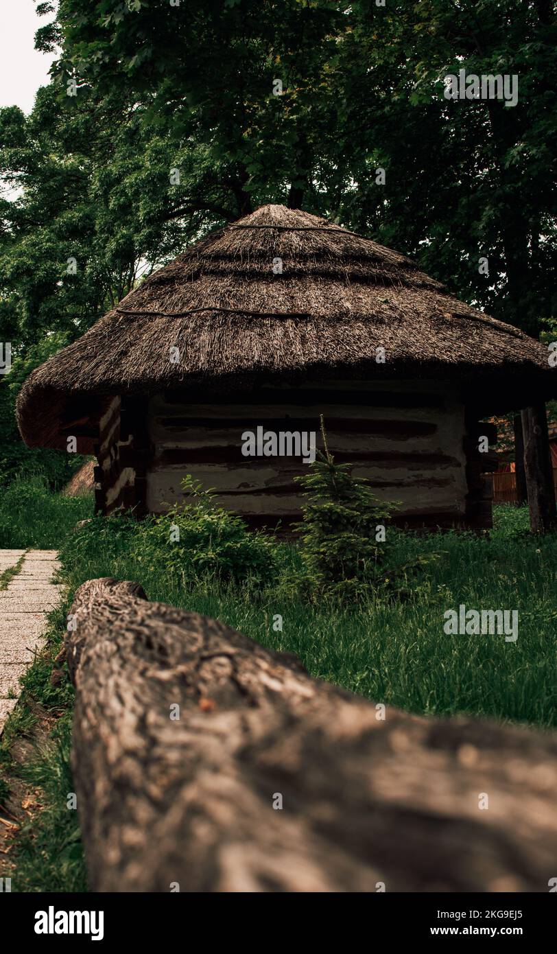 A vertical shot of a wooden house with a straw roof at Dimitrie Gusti national village museum Stock Photo