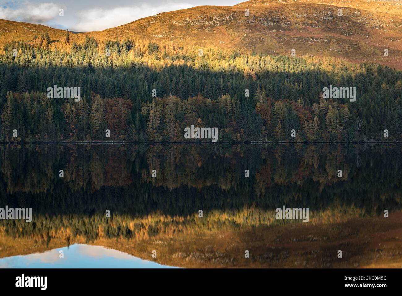 A sunny, still autumnal HDR image of reflections hills and forest in Loch More in the Reay Forest, northwest Sutherland, Scotland. 24 October 2022 Stock Photo