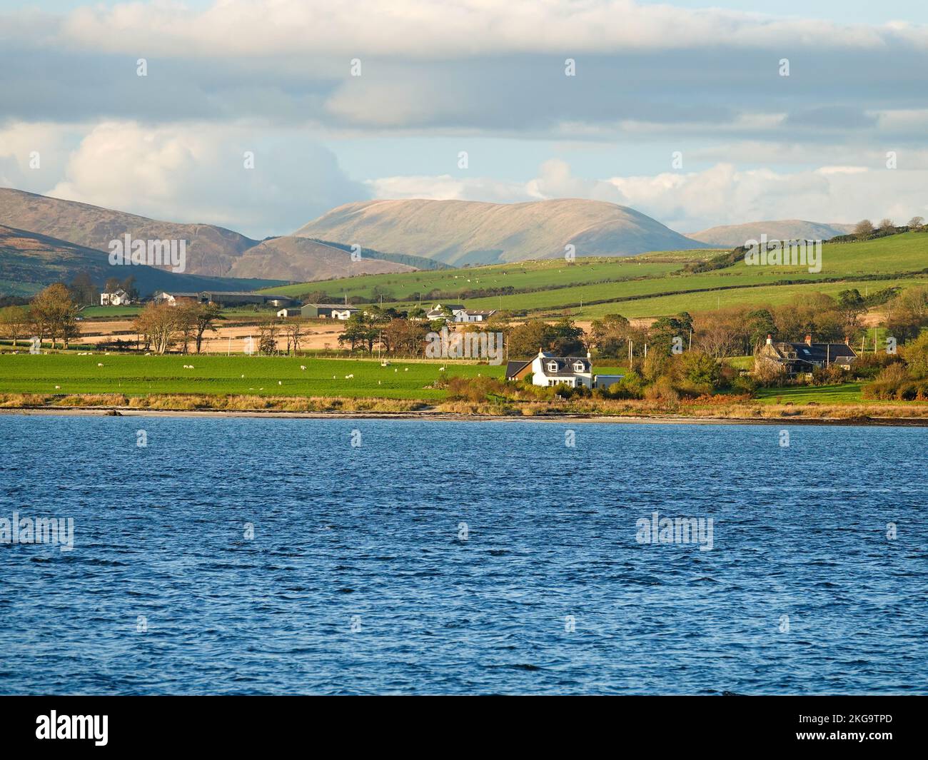 Homes, sheep pastures, cattle, rolling lowlands, with higher more barren hills, Isle of Bute, Scotland, UK. Stock Photo