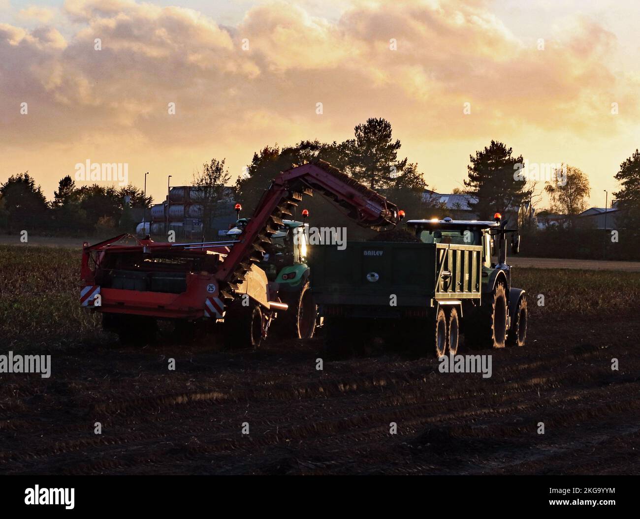 Sunlight glinting off the tractor hires stock photography and images