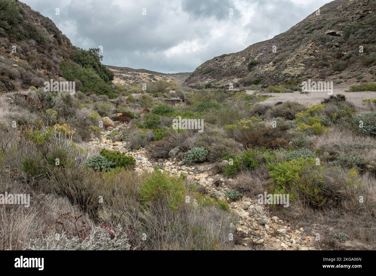 View of a dry riverbed while hiking on California's Santa Rosa Island, one of eight Channel Islands. Stock Photo