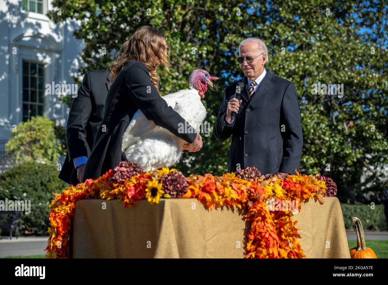 Washington, United States. 21st Nov, 2022. Alexa Starnes holds a turkey named Chocolate as U.S. President Joe Biden, officially pardons the bird during the traditional Thanksgiving Turkey Pardon on the South Lawn of the White House, November 21, 2022 in Washington, DC Starnes is the daughter of the Circle S Ranch where the turkey was raised. Credit: Adam Schultz/White House Photo/Alamy Live News Stock Photo
