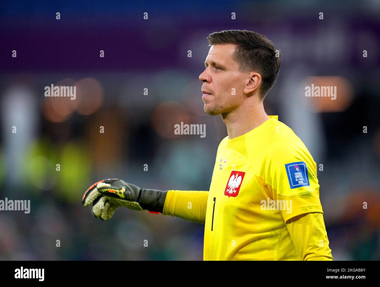 Poland goalkeeper Wojciech Szczesny during the FIFA World Cup Group C