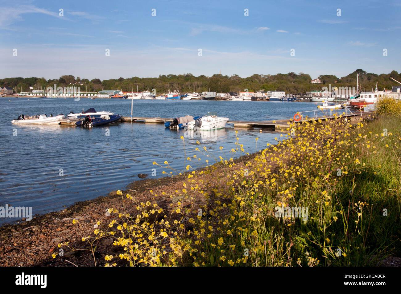 Bembridge harbour, Isle of Wight, Hampshire, England Stock Photo - Alamy