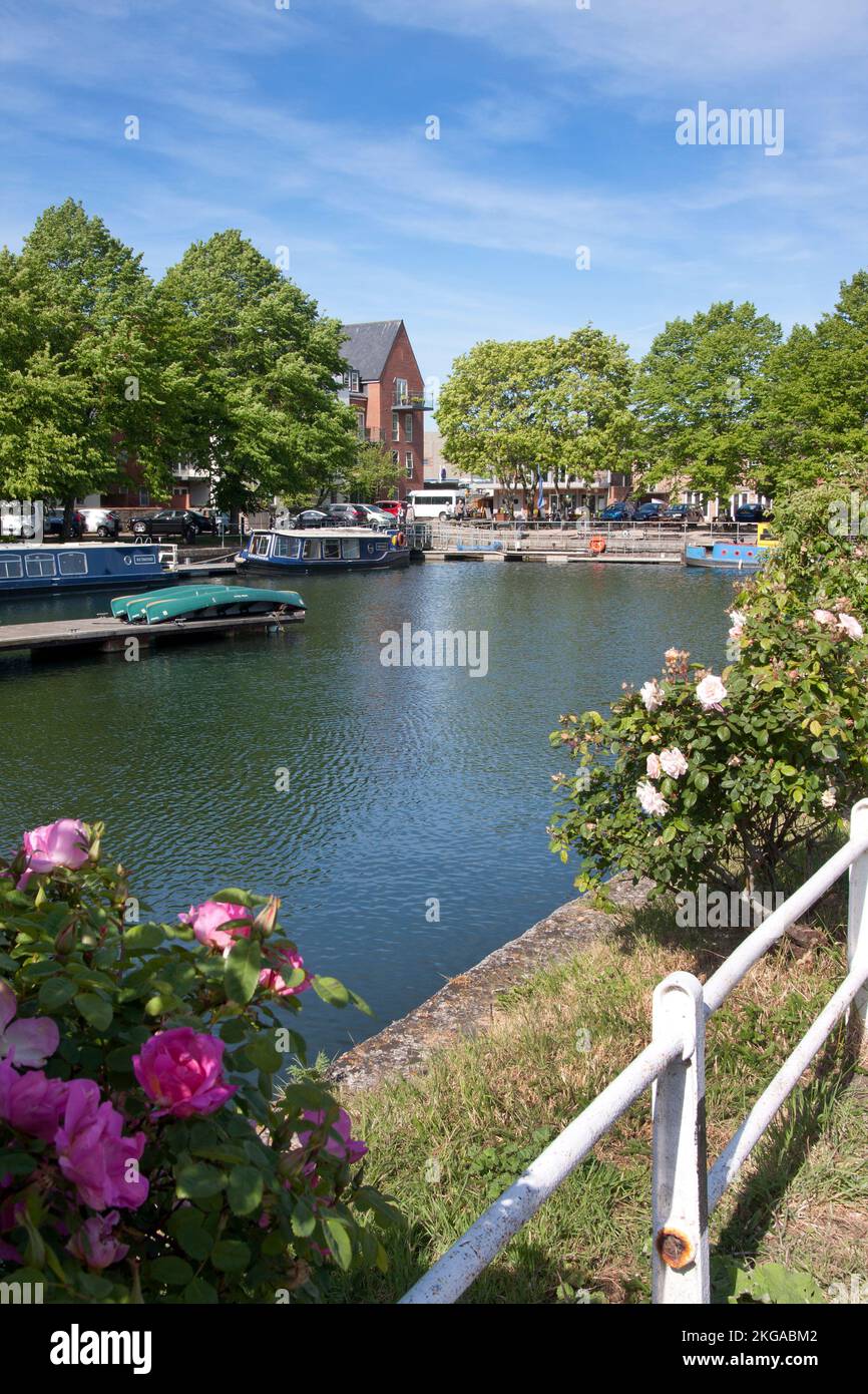 Chichester canal basin, West Sussex Stock Photo