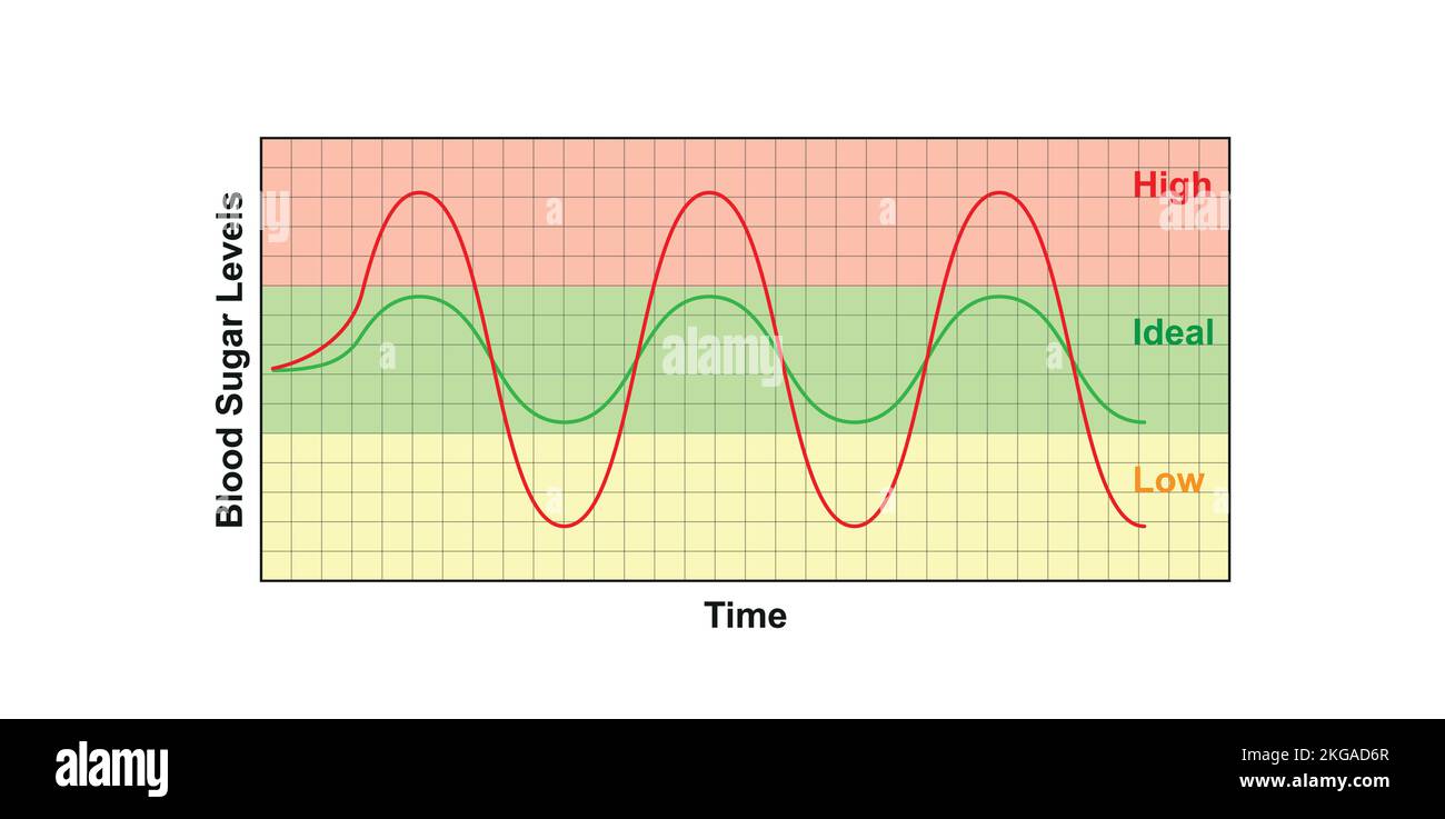 Blood Sugar Balance. Vector Illustration. Stock Vector