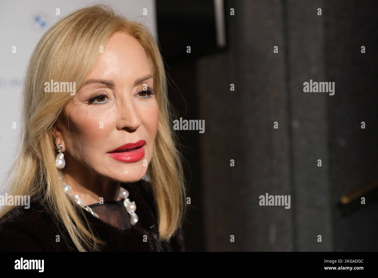 Carmen Lomana attends the painting awards of the BMW at the Real