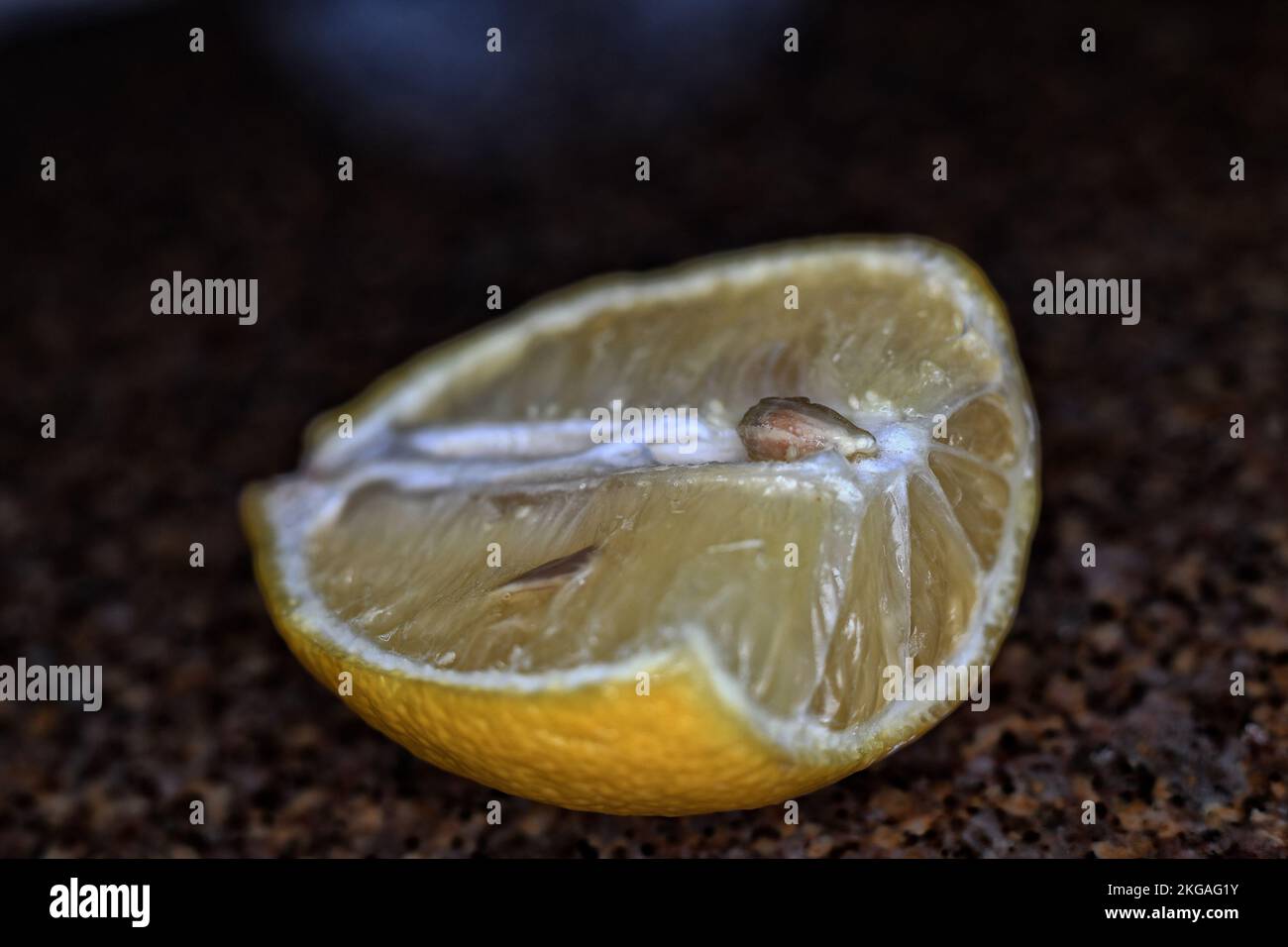 Drying lemon for cooking. Stock Photo