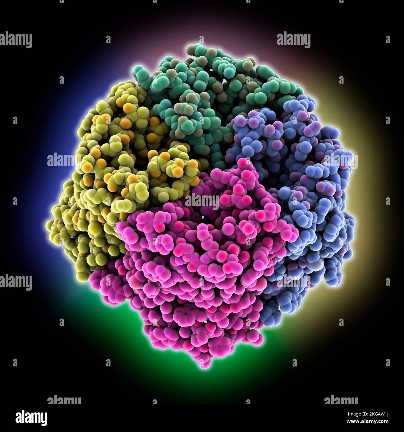 Rice silicon transporter, molecular model. The image shows -1, an ...