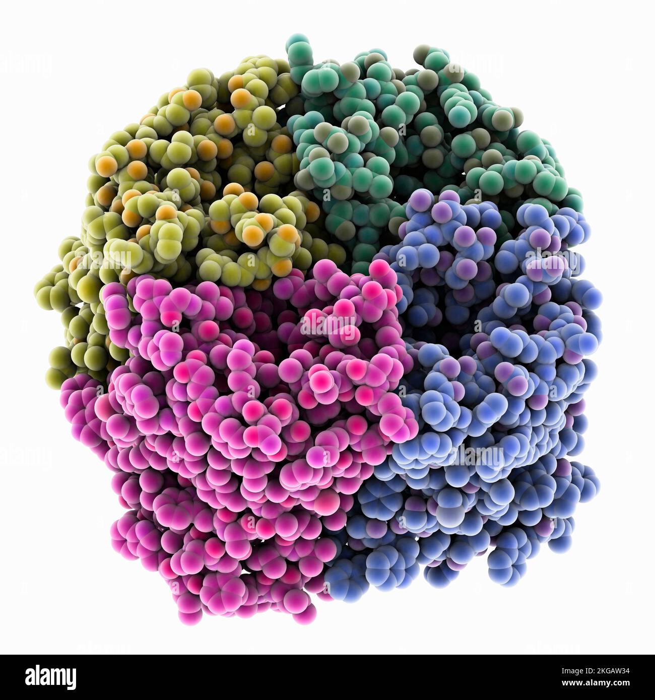 Rice silicon transporter, molecular model. The image shows -1, an ...