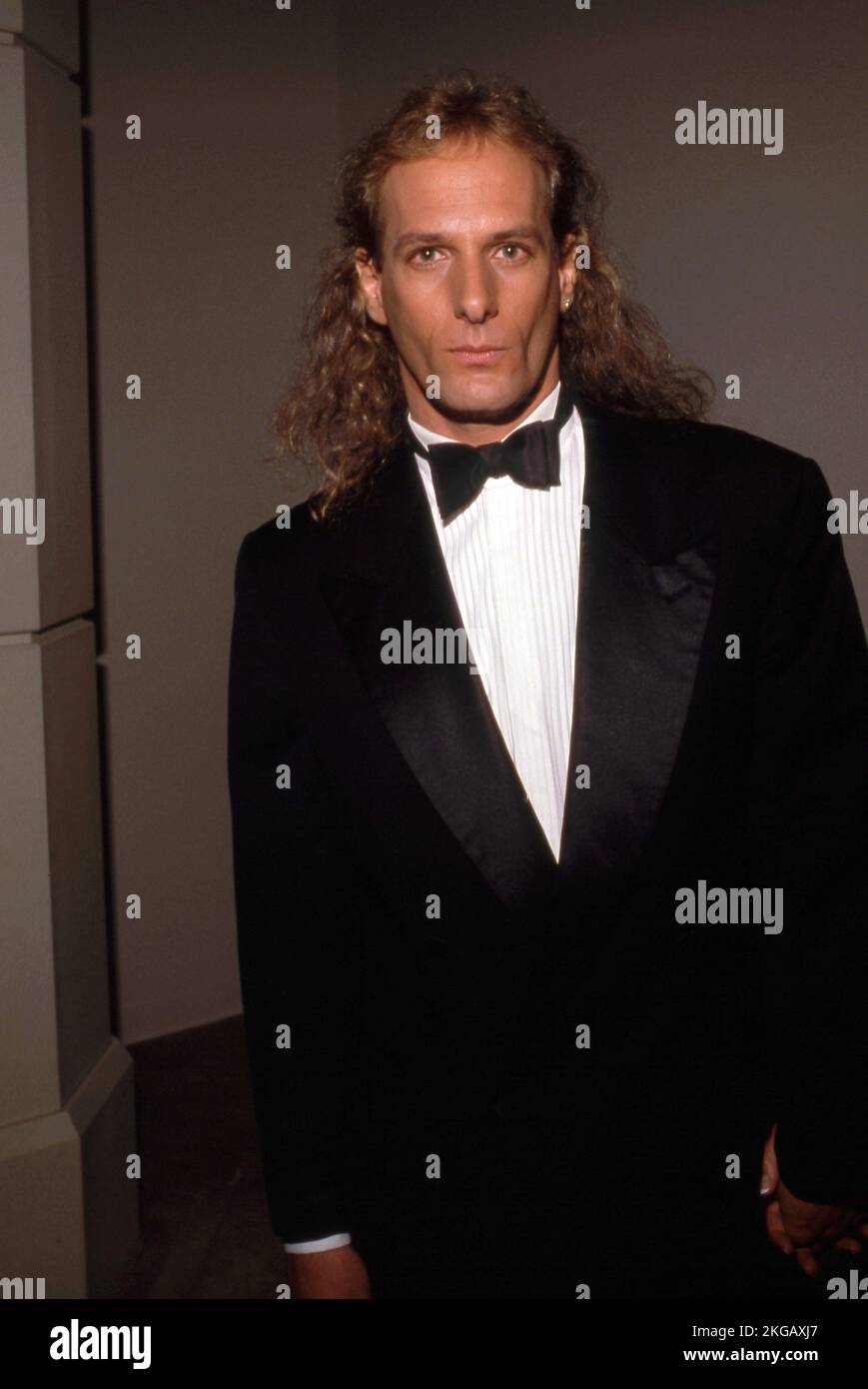 Michael Bolton January 1990 Credit Ralph Dominguez/MediaPunch Stock Photo Alamy