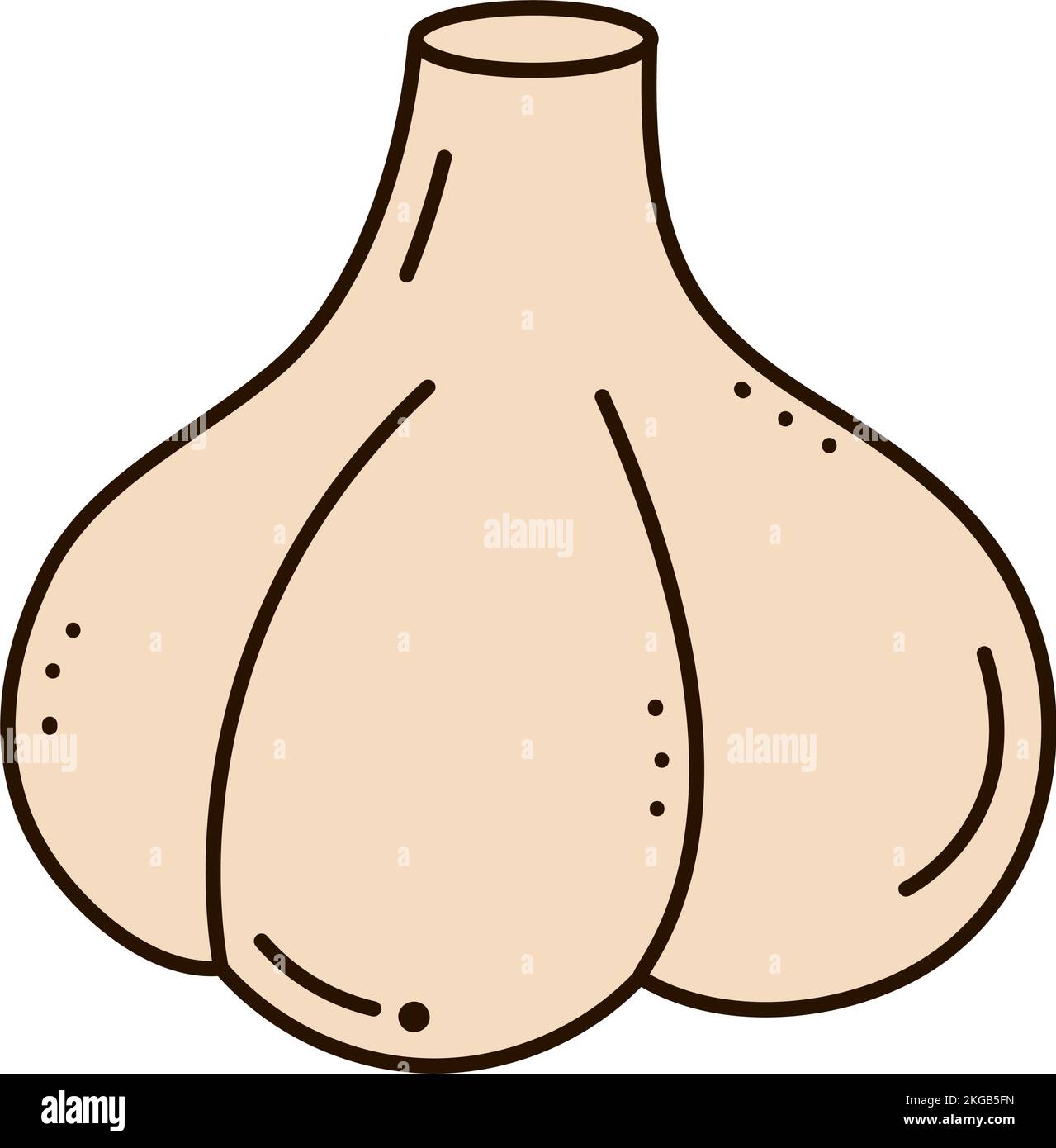 garlic head icon Stock Vector Image & Art Alamy